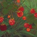 sweetsugarwater avatar