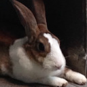 sweetsummerchad avatar