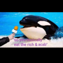 sweetsweetannika avatar