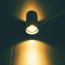 sweetthiefspot avatar