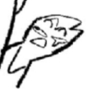 sweettnesssss avatar