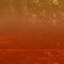 sweetyouthjellyfish avatar