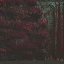 swellof-flames avatar