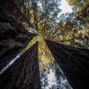 swervinginfivelanes avatar