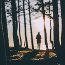 swifterthanarrow avatar