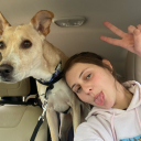 swiftly-klass avatar