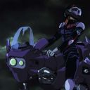 swifttortoise avatar