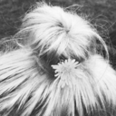 swiggity-swass-dean-loves-cas avatar