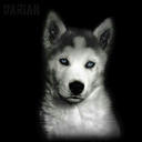 swim-inside-me avatar