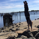 swim-or-drown-blog avatar