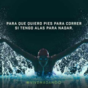swimmer1398 avatar