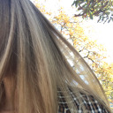 swimming-in-a-fish--bowl avatar