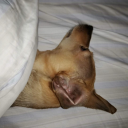 swimmingeggshoewinner avatar