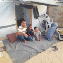 swimminghologramllama avatar