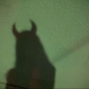 swimminginanunknownparadise avatar