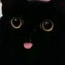 swimmingpeachmiracle avatar