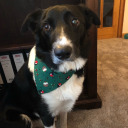 swimmingthingkidcreator avatar