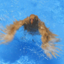 swimmmingwithchickens avatar