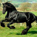 swingindreamerdiplomatmonger avatar