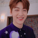 swingingardenbiscuitdreamer-blog avatar