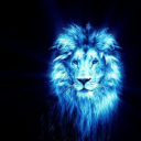 swingingfuntime avatar