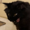 switchblade-sys avatar