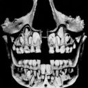 switchbladeskunk avatar