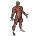 swolemuscle1-blog avatar