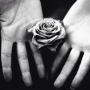 sword-swallow-blog avatar