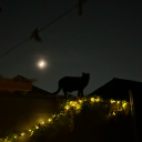 swordcrossedlover avatar