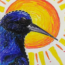 swords-and-storms avatar