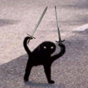 swordscatofdoom avatar