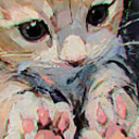 swordxxxshield avatar