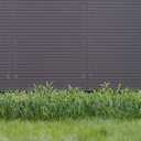 sxxxxxxxxxxxxstuff avatar