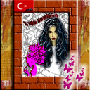 sya-sewinch-joy avatar