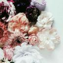 sydney-carter avatar