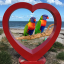 sydney-suburbs-based avatar