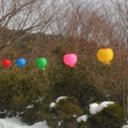 sydney-to-seoul avatar