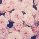 sydneyslegacy avatar