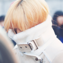 syfatefly-blog-blog avatar