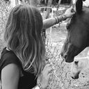 sylkemindpalace avatar