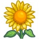 sylvia-sunflower avatar