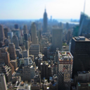 sylviasnonsequiturs avatar