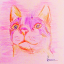 sympathomimetic avatar