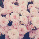 symphany-smith247 avatar