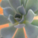 symphonicsunset avatar