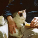 symphonyofsasss avatar