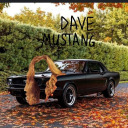 symphonyofyurdudly avatar