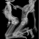 synapseyes-blog avatar