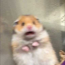 syncintoreality avatar